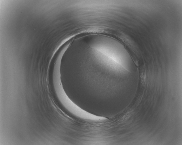 X0000056000484200509162322