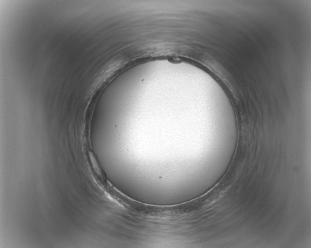 X0000056000485200509162322