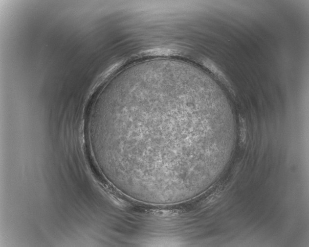 X0000056000486200509162322