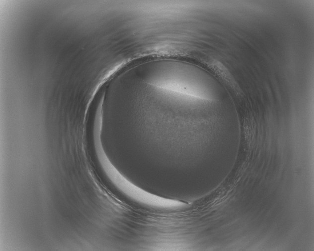 X0000056000488200509162322