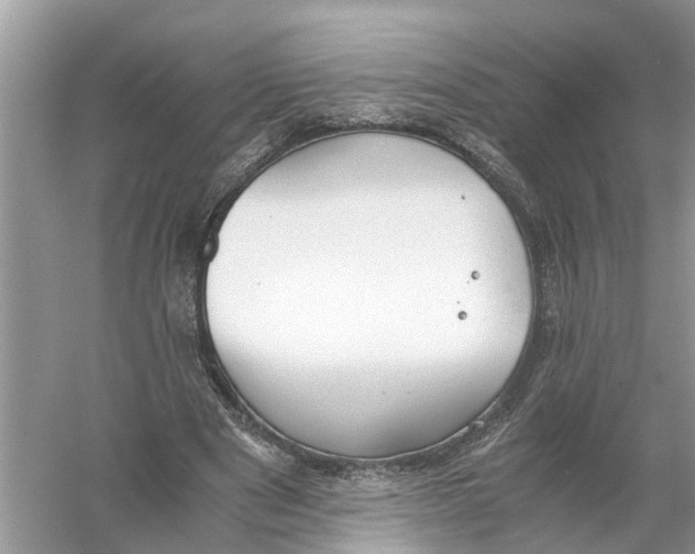 X0000056000489200509162322