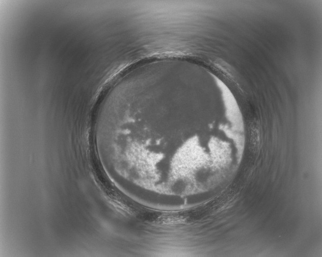 X0000056000491200509162322