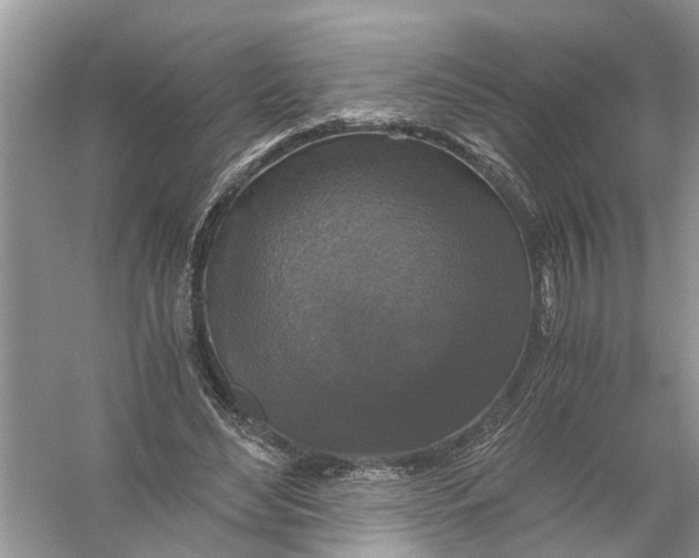 X0000056000492200509162321