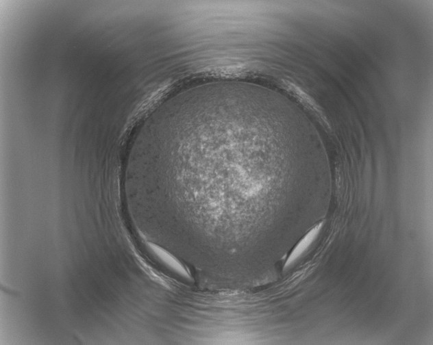 X0000056000493200509162321