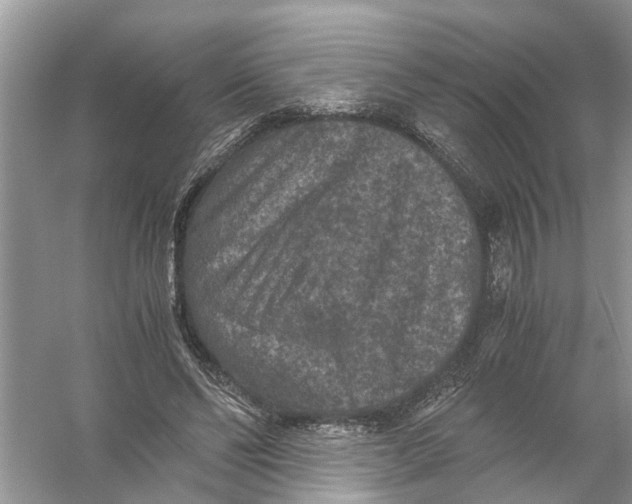 X0000056000494200509162321