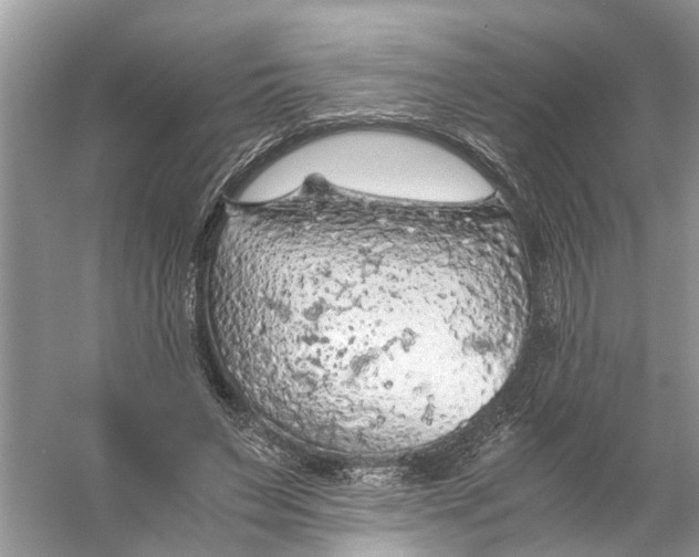 X0000056000495200509162321