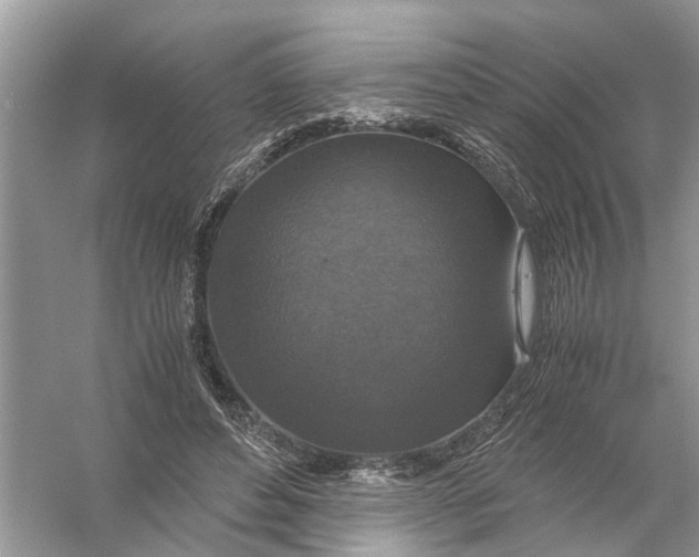 X0000056000496200509162321