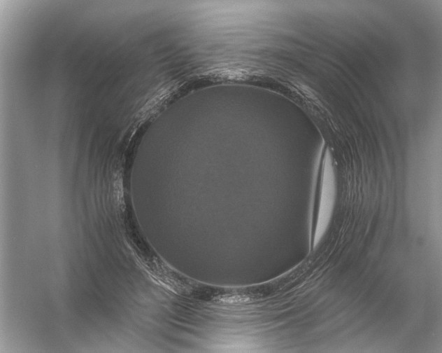 X0000056000500200509162321