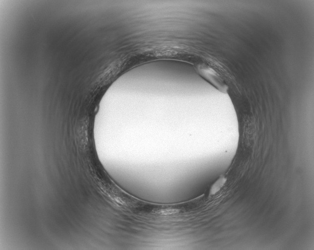 X0000056000501200509162321