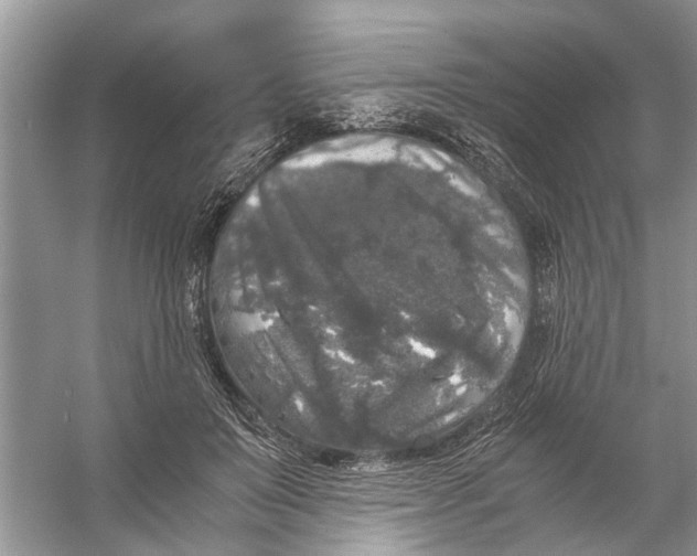 X0000056000503200509162321