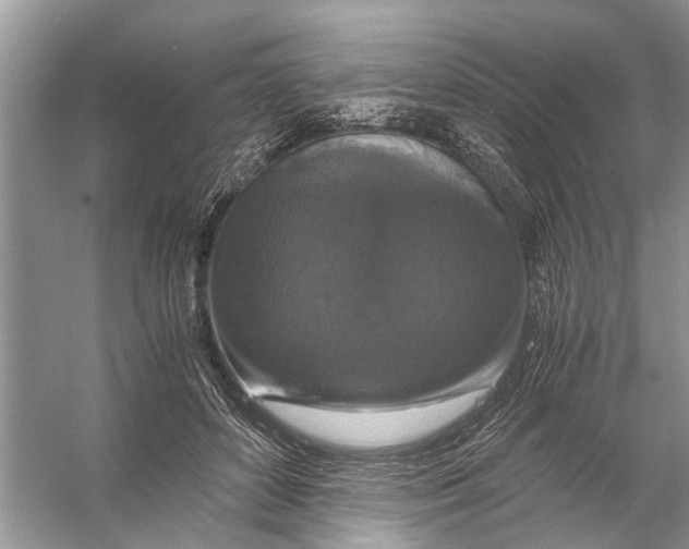 X0000056000504200509162321