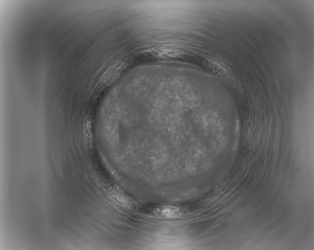 X0000056000506200509162321