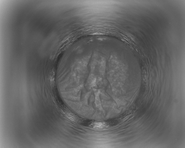 X0000056000507200509162321