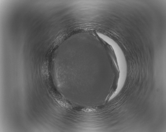 X0000056000512200509162321