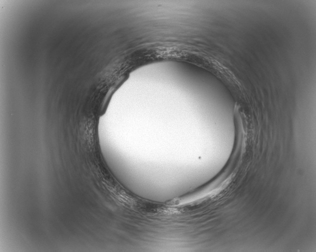 X0000056000513200509162321