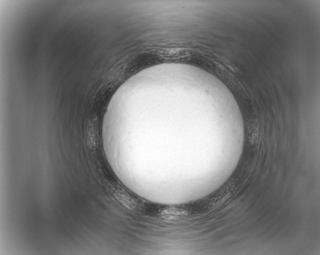 X0000056000515200509162321