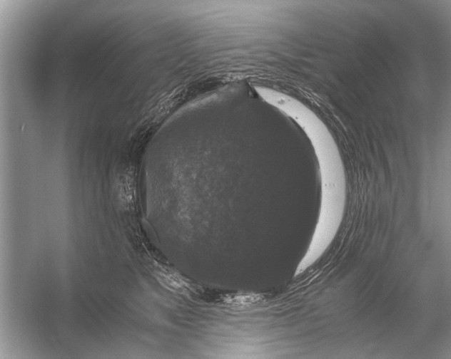 X0000056000517200509162321