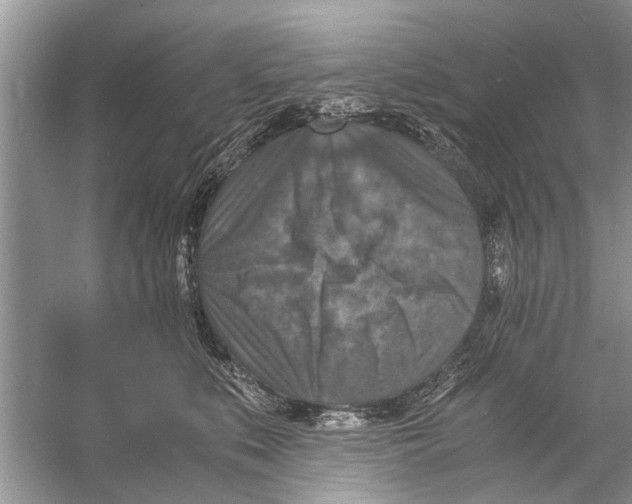 X0000056000519200509162321