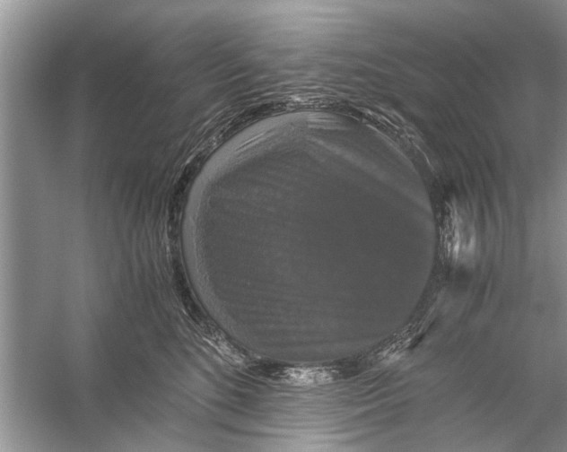 X0000056000520200509162321