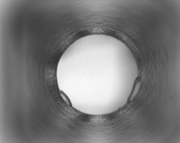 X0000056000521200509162321