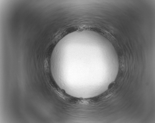 X0000056000523200509162321