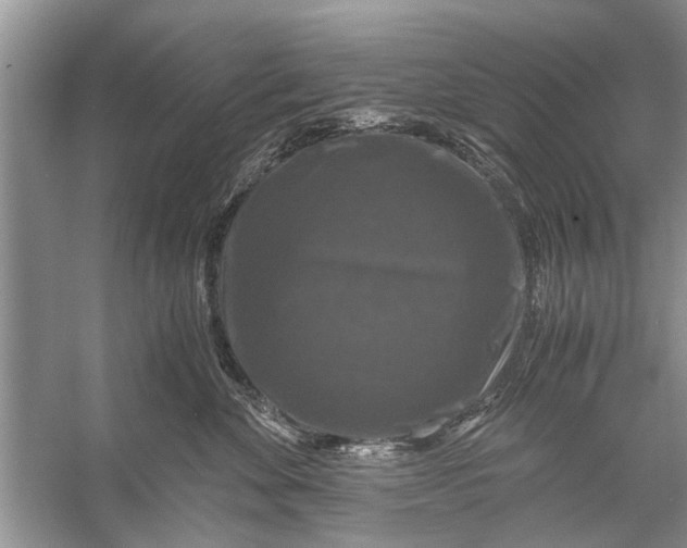 X0000056000524200509162321