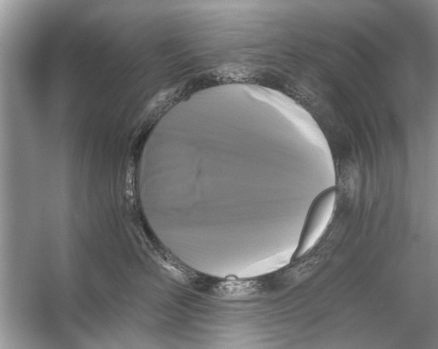 X0000056000526200509162321