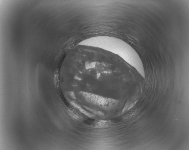 X0000056000527200509162321