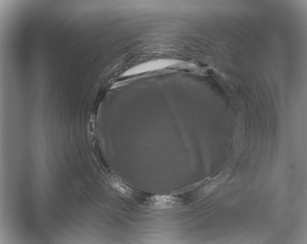 X0000056000528200509162321