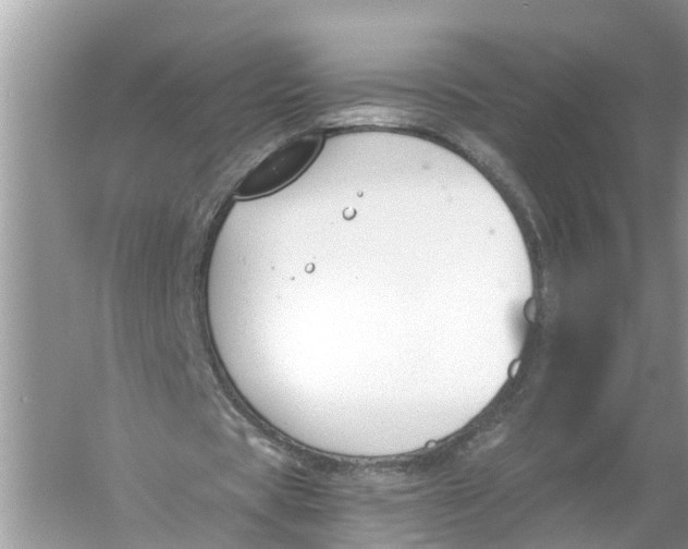 X0000056000529200509162320