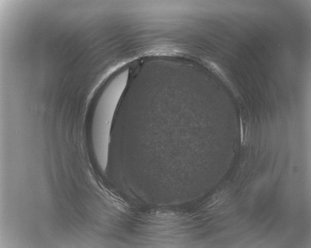 X0000056000531200509162320