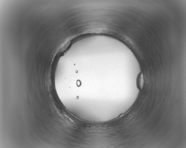 X0000056000532200509162320