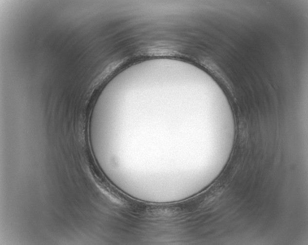 X0000056000533200509162320