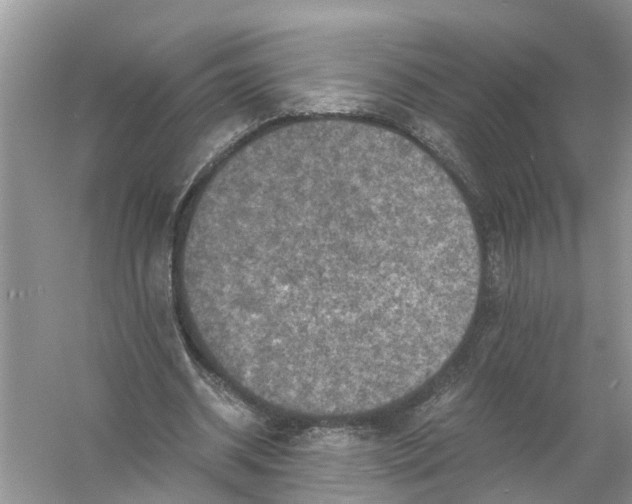 X0000056000534200509162320