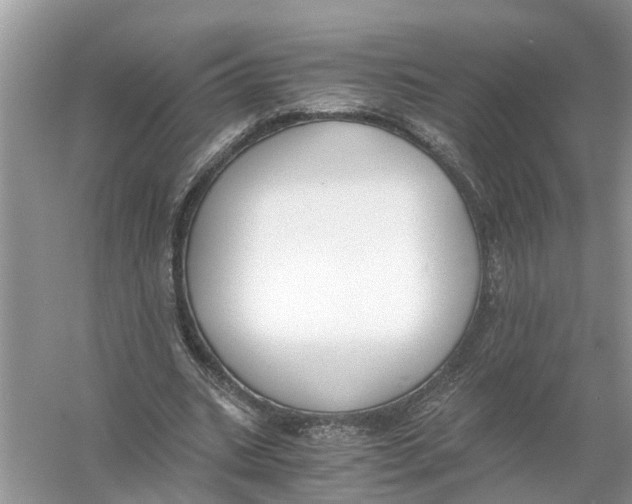 X0000056000535200509162320