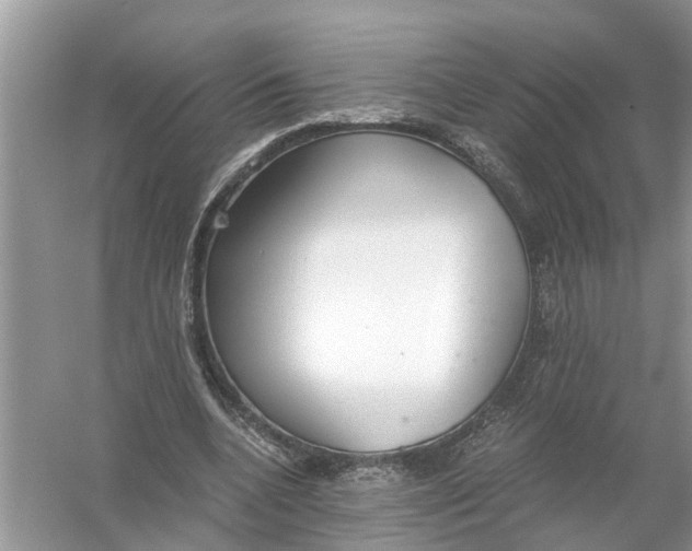 X0000056000536200509162320