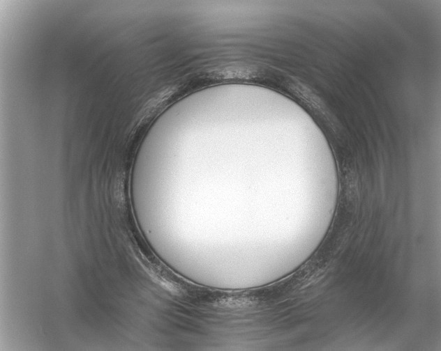 X0000056000537200509162320