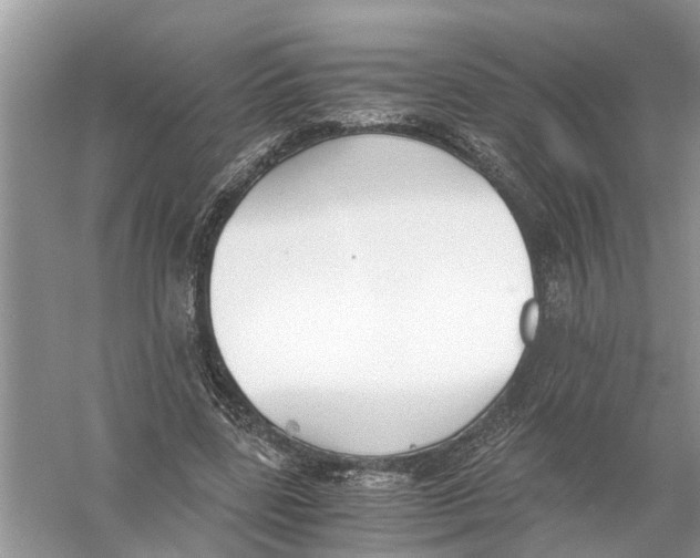 X0000056000539200509162320