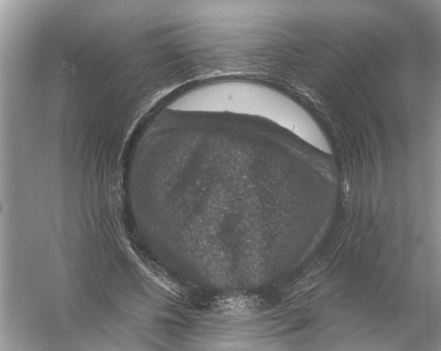 X0000056000540200509162320