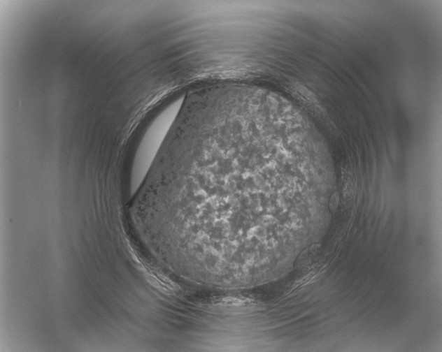 X0000056000542200509162320