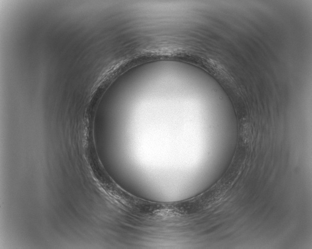 X0000056000544200509162320