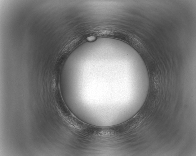 X0000056000546200509162320