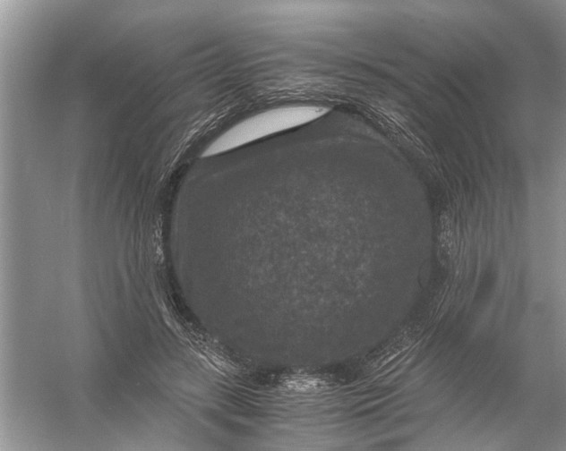 X0000056000547200509162320