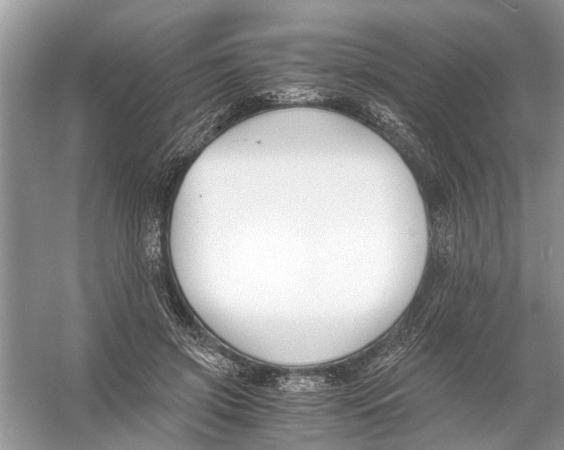 X0000056000549200509162320