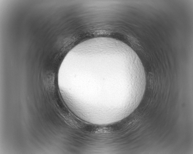 X0000056000550200509162320