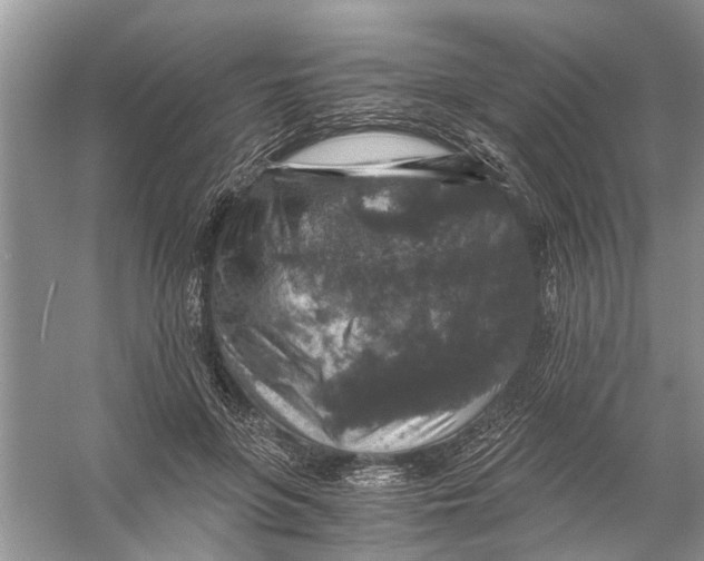 X0000056000551200509162320