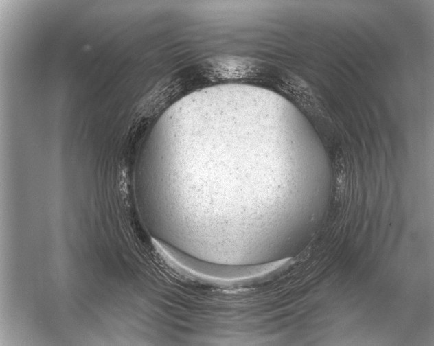 X0000056000555200509162320