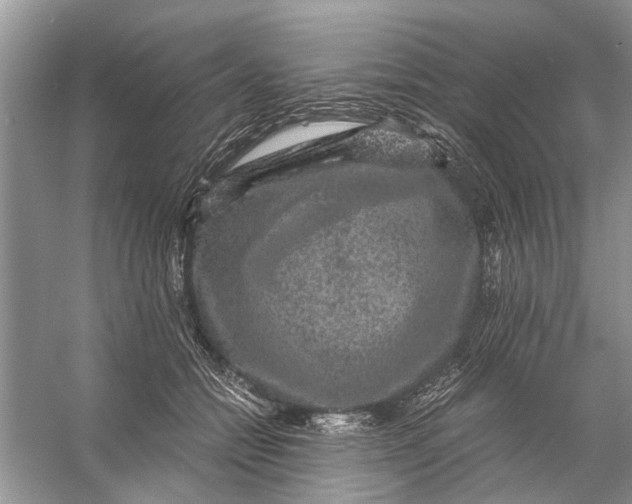 X0000056000558200509162321