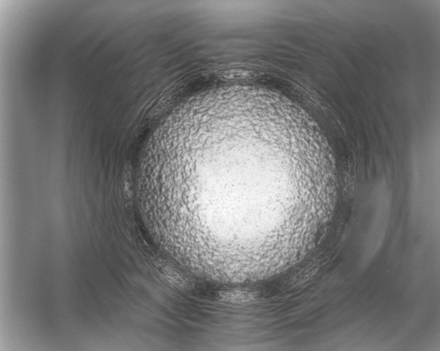 X0000056000561200509162321