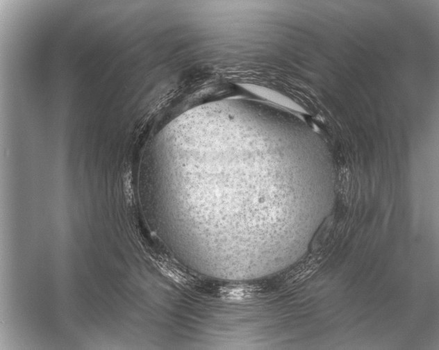 X0000056000564200509162321